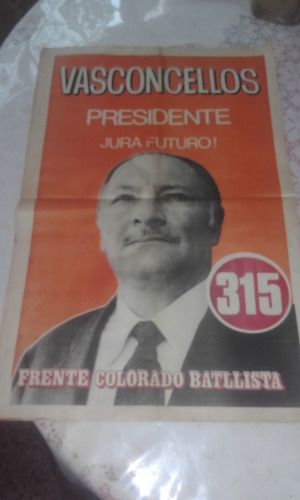 Antiguo Afiche Propaganda Politica Lista 315 Partido Color.