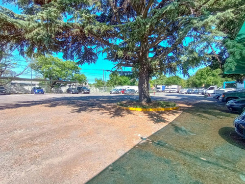 Excelente Depósito De 774 M2 En Alquiler En Predio Cerrado, Villa Adelina.