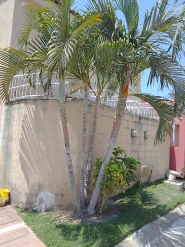 Excelente Casa En Gaviotas De 3 Recamarasr.a