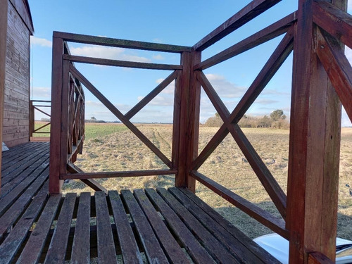 Imagen 10 de 23 de Lote 36000m2 Molino..plantas Pecan Durazno
