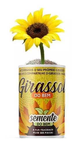 Semente Para Flor Girassol Natural Sementes Do Bem 295168831