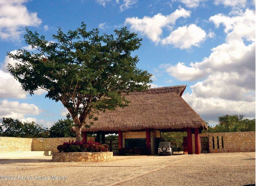 Imagen 8 de 18 de Terreno En Venta En Santa Clara Yucatan Mt 23-2497