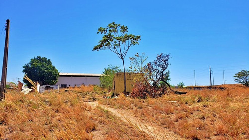 Imagem 16 de 20 de Terreno Comercial De 9.120 M² À Venda Na To-050 - 1112 Sul - 258