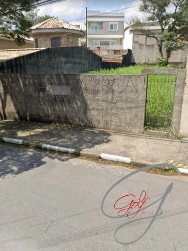 Imagem 1 de 1 de Terreno - Te00036 - 69889221