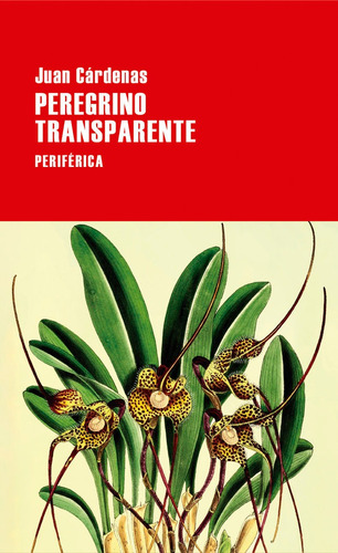 Peregrino Transparente, De Cárdenas, Juan. Editorial Editorial Periferica, Tapa Blanda En Español