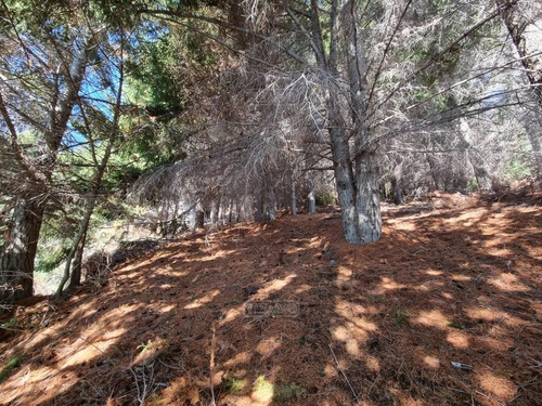 Imagen 13 de 29 de Terreno Lote En Venta Ubicado En Villa Campanario, Bariloche, Patagonia