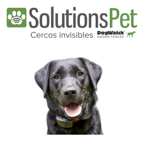 Collar Para Perro Educador De Ladridos Dogwatch Bt7