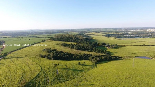 Imagem 4 de 9 de Fazenda Para Venda Em Salto, Haras Paineiras, 1 Dormitório, 1 Banheiro, 1 Vaga - 2825_2-1002550