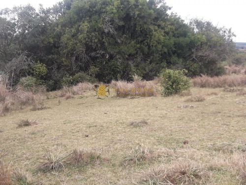 Campo 7 Has En Garzon - Consulte!!!!!!!!- Ref: 2110