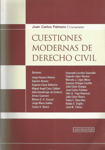 Cuestiones Modernas De Derecho Civil Palmero