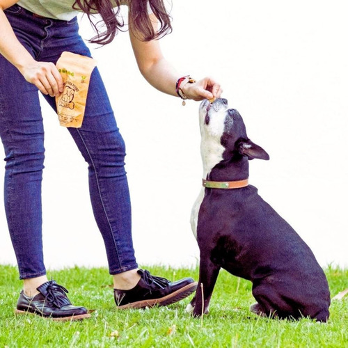 Imagen 4 de 8 de Premios Para Perro Naturales Qkis Paquete De 4