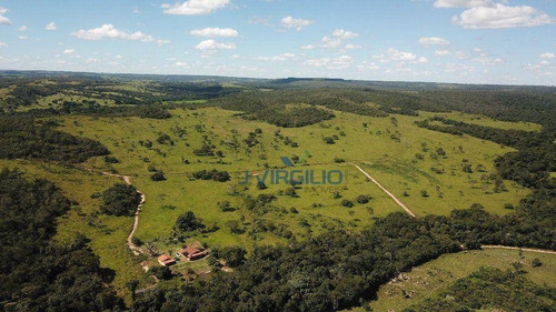 Imagem 10 de 20 de Faz. Luziania Com Água, Nascente Corumbá - Fa0007