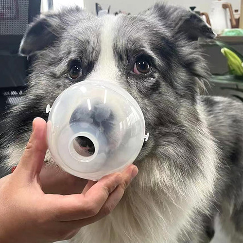 Copa Nebulizadora Y Máscara Inhaladora Acostada Para Gatos