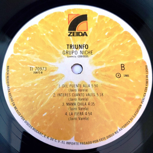 Grupo Niche - Triunfo Lp (Usado)