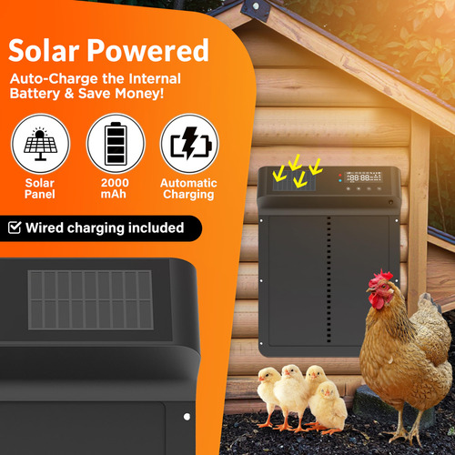 Puerta Automática De Gallinero Marca Xyz Modelo Abc Solar Negro