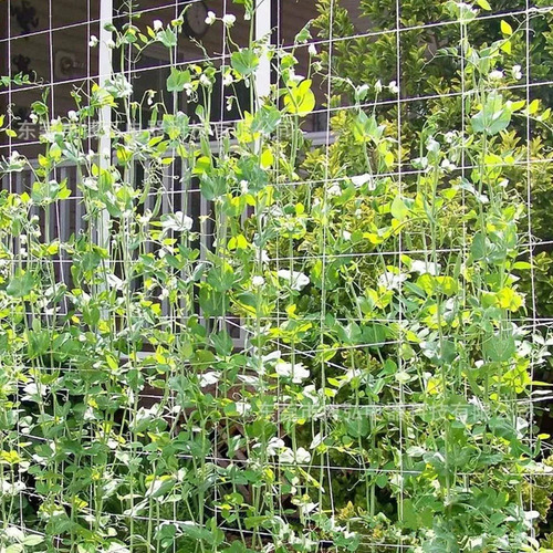2 Unidades 5m 10m Plantas Treleça Trepadeira Rede
