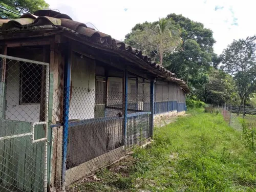 Finca En Venta En Yotoco. Cod V8605