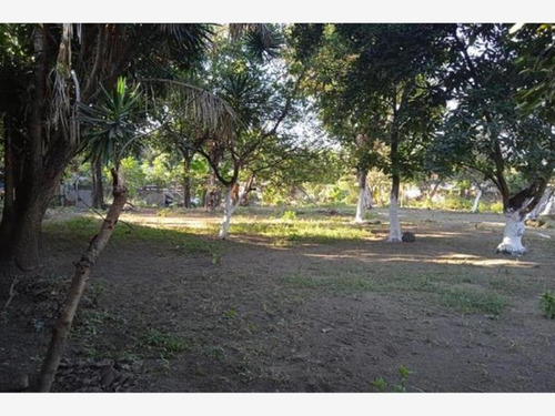 Imagen 4 de 8 de Terreno Comercial En Venta Itzamatitlan
