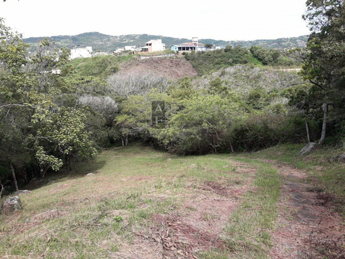 Imagem 13 de 19 de Terreno Para Venda Em Ferraz Garopaba-sc - Tv246