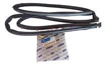 Comprar Goma Borde Carroceria Puerta Delantera Derecha Elantra 00-12