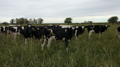 Campo En Venta En General López