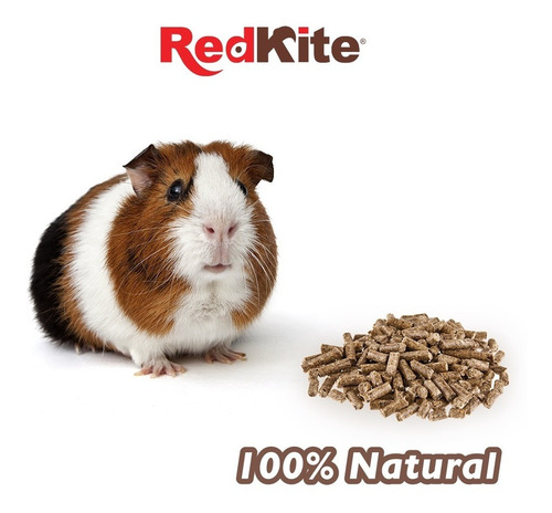 Imagen 4 de 5 de Alimento Comida Para Cuyos 850 Gr Salud Crecimiento Redkite