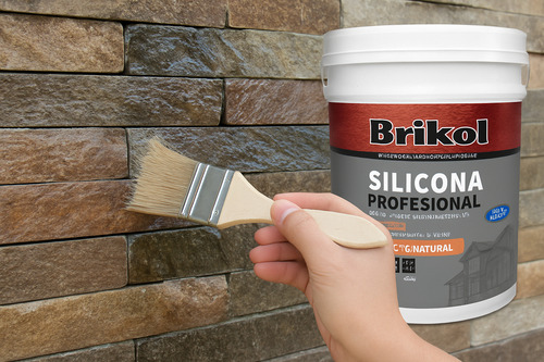 Brikol Silicona Profesional Acabado Natural 20 Litros