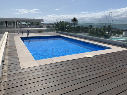 Imagen 12 de 13 de Vendo Apartamento En Plena Peninsula