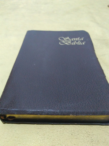 Santa Biblia Antiguo/nuevo Testamento Revision 1960