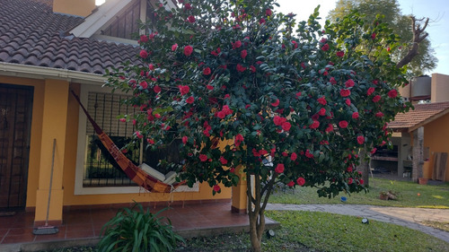 Casa Chalet 7 Ambientes En Parque Leloir Dueño Vende. Con Gran Parque Arbolado , Pileta Y Parrilla