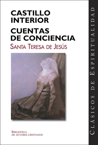 Libro Castillo Interior Y Cuentas De Conciencia - Santa T...
