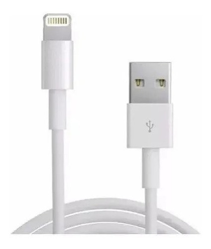 Cable Apple iPhone Lightning A Usb 1m Económico