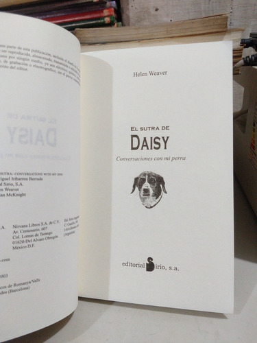 El Sutra De Daisy Helen Weaver (Usado)