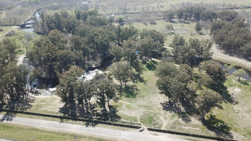 Imagen 4 de 9 de Campo - Rio Lujan