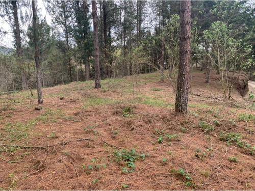 Lote En Venta Sector Lejos Del Nido En El Retiro