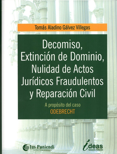 Decomiso Extinción Dominio Nulidad Acto Jurídico Rep. Civil