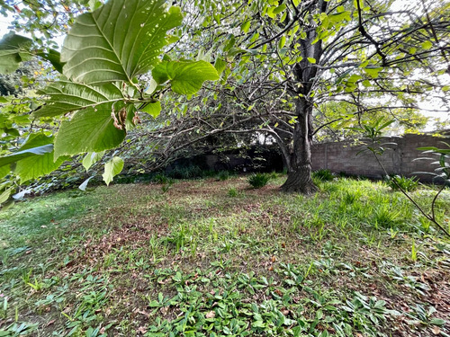 Vende Vivienda Con Buen Terreno.-
