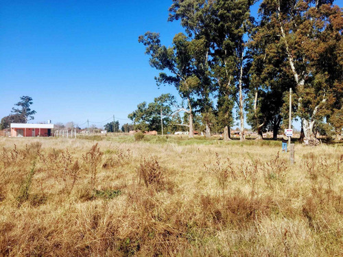 Imagen 5 de 12 de Venta De Lote De Terreno En Brandsen