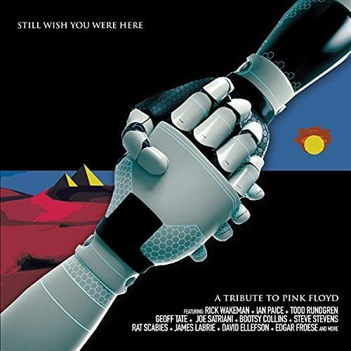 Pink Floyd Tribute: Still Wish You Were Here / Various