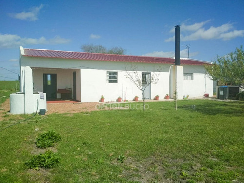 Venta Chacra 3,1838 Has, San Ramón, Canelones