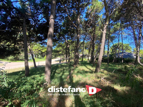Terreno En Venta En Uade
