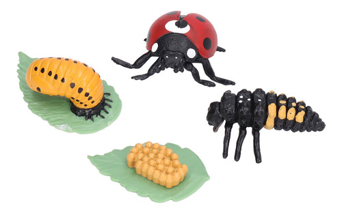 Figuras De Vinilo Realista Growth Cycle Model Life Ladybug