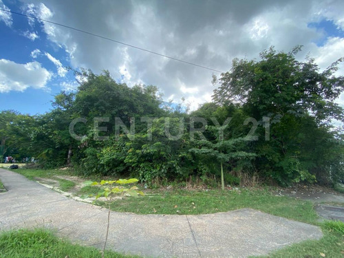 Venta De Terreno Comercial En El Centro De Playa Del Carmen Quintana Roo