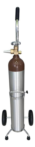 Tanque De Helio Recargable (con Carro Y Boquilla)