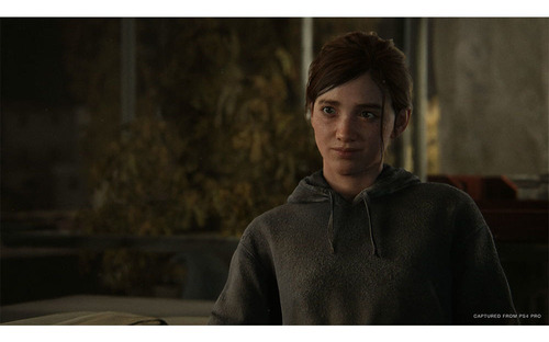 Ps4 The Last Of Us Ii