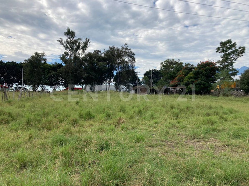 Terreno En Renta En Cd. Guzmán