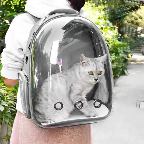 Mochila para mascotas con vista panorámica, astronauta, perro y gato, color verde