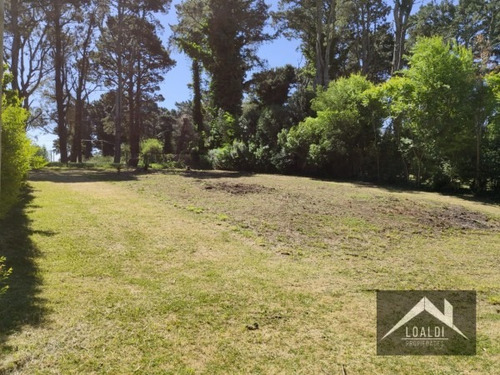 Imagen 2 de 2 de Venta Terreno En Sierra De Los Padres