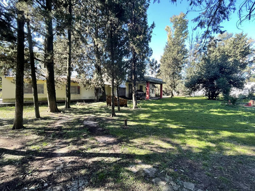 Imagen 30 de 30 de Venta Quinta Sobre 11.000 M2 Ideal Instituciones / Clubes - Trujui - Moreno