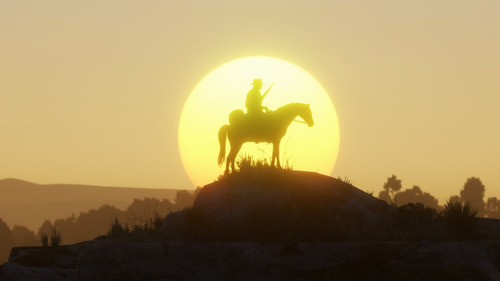Red Dead Redemption 2 Ps4 Físico (Usado)
